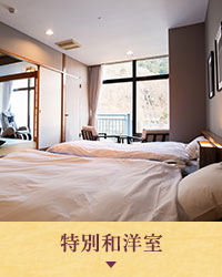 特別和洋室